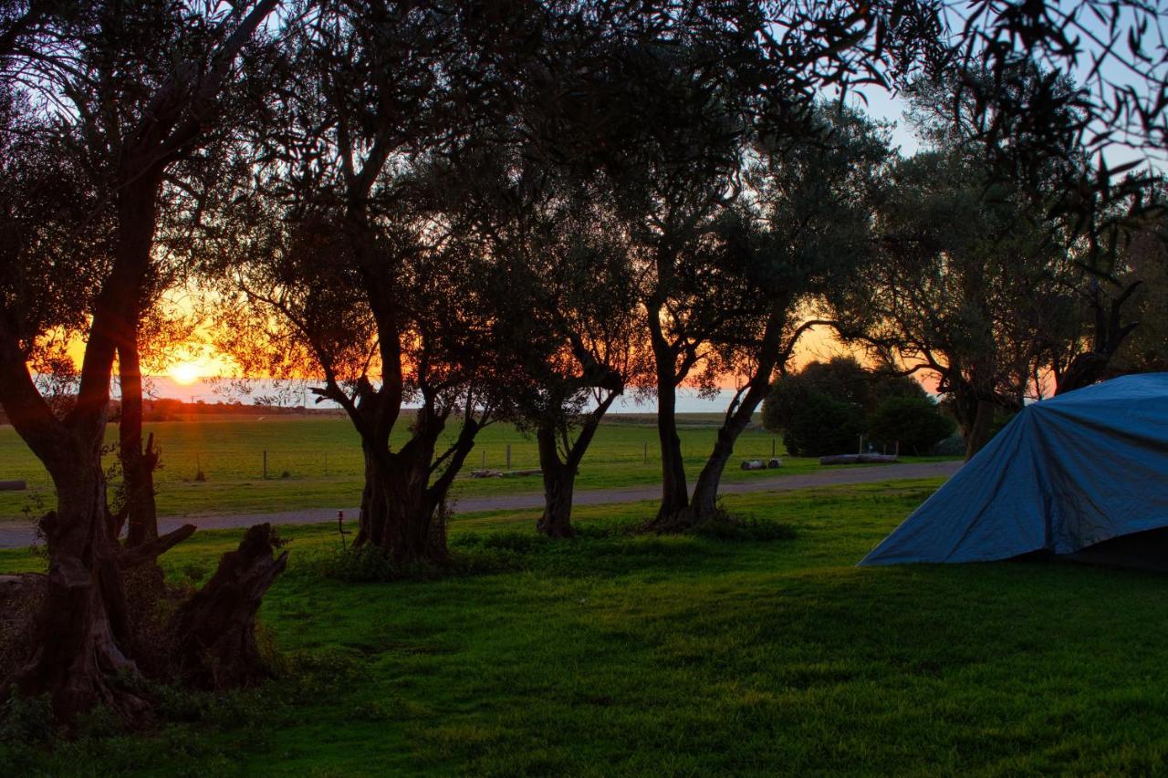 Big4 Cape Jervis Accommodation & Caravan Park Eksteriør billede